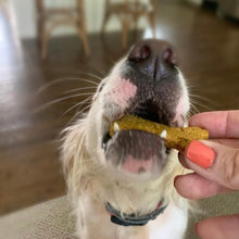 Load image into Gallery viewer, Bad Dog Blueberry Pumpkin Biscuit